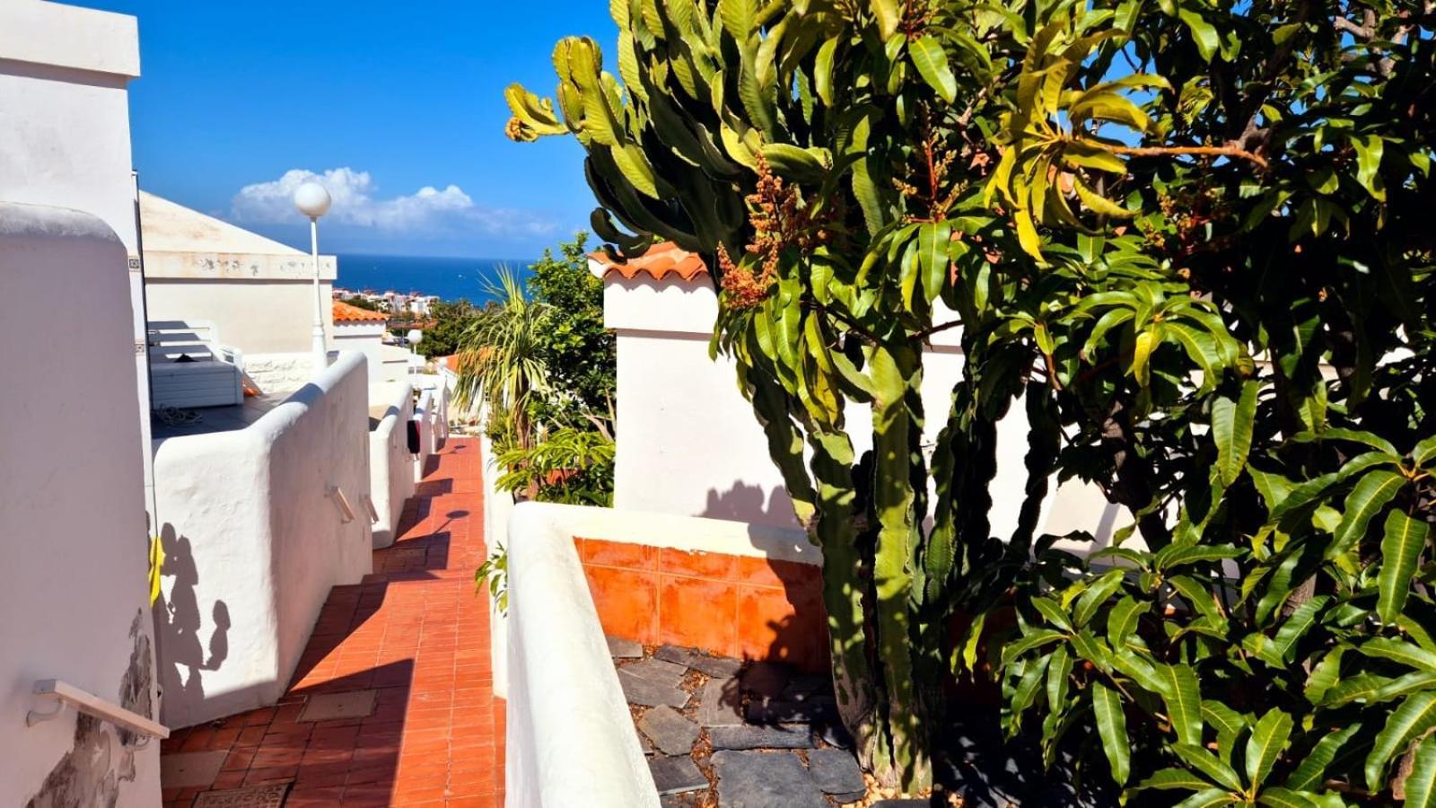 Costa Adeje Bungalow -Tenerife Exterior foto